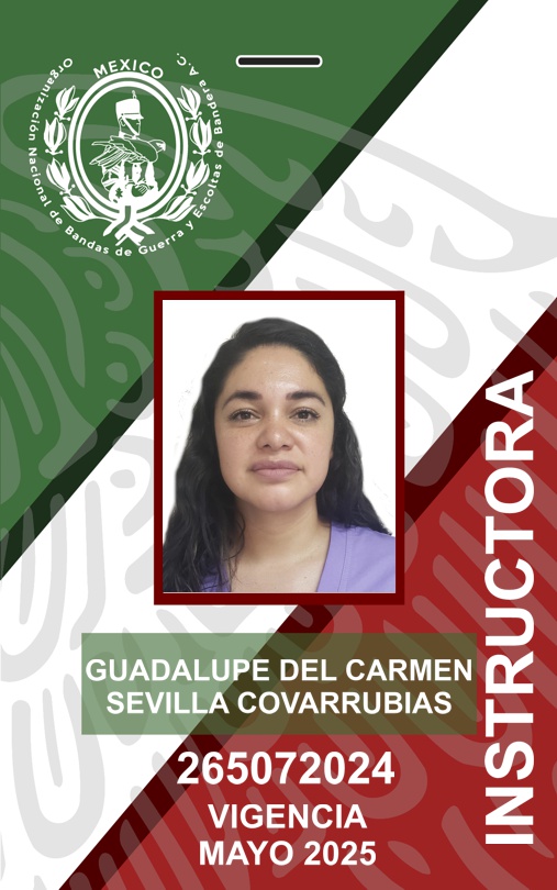 INSTRUCTORA GUADALUPE DEL CARMEN SEVILLA COVARRUBIAS