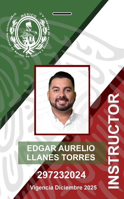 INSTRUCTOR EDGAR AURELIO LLANES TORRES